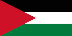 250px-Flag_of_Palestine_-_long_triangle.svg