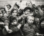 Några av de 600 barn som överlevde Auschwitz som visar upp sina intatuerade identitetsnummer. Foto från Auschwitz-Birkenau Memorial and Museum