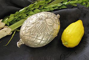 Lulav, en knippe palmkvistar, etroghölje, citrusfrukten etrog. Foto från Wikipedia