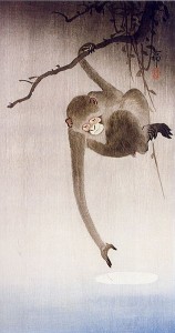Gibbonapa - som bringar lycka - sträcker sig efter månens spegling.
